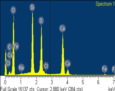 SEM-EDX Womersleys Shop