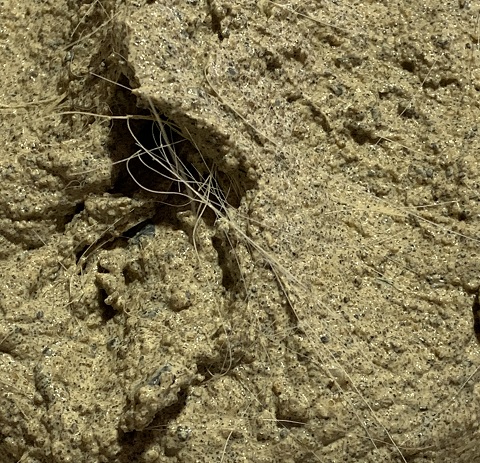 Torching Lime Mortar