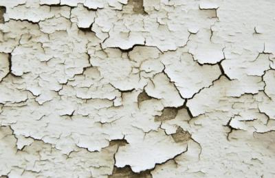 Analysis of lead based paint and lead-based paint hazards