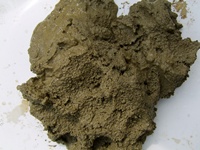 Womersleys Wet Clay Plaster Top Coat Buff/Brown